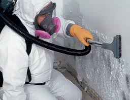 Reliable Newell, WV Mold Removal & Remediation Solutions